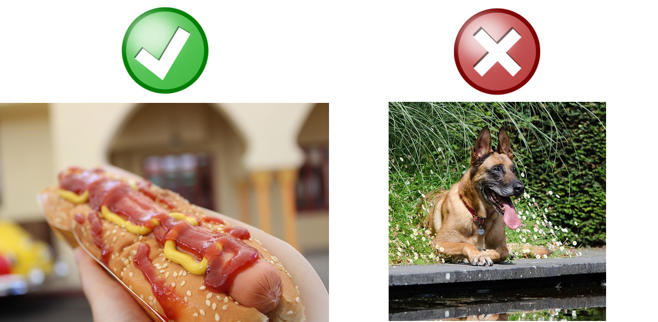 A hotdog and a hot dog